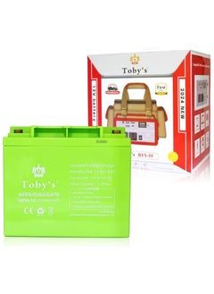 Toby's 55A Battery 55000mAh Power Rechargeable Battery With 220V Power Inverter  - Image 2