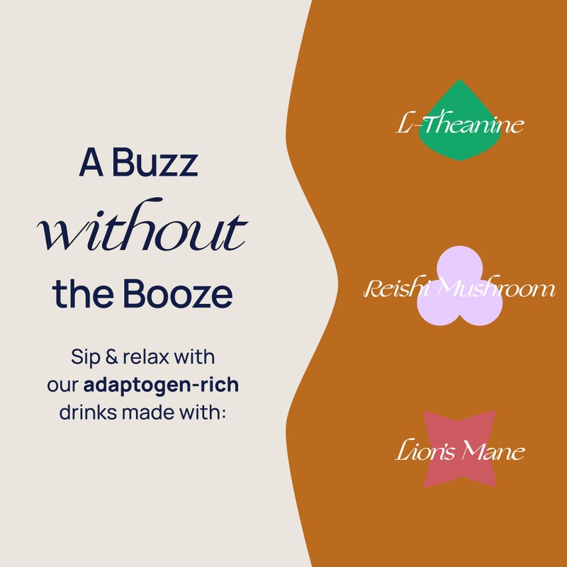 De Soi Spritz Italiano Mocktails NA Drinks 8 fl oz (12-pack) - Adaptogen Drink, Sparkling Drink with Calming Botanicals, Mocktail Drinks, Gluten Free, No Artificial Flavors - Image 4