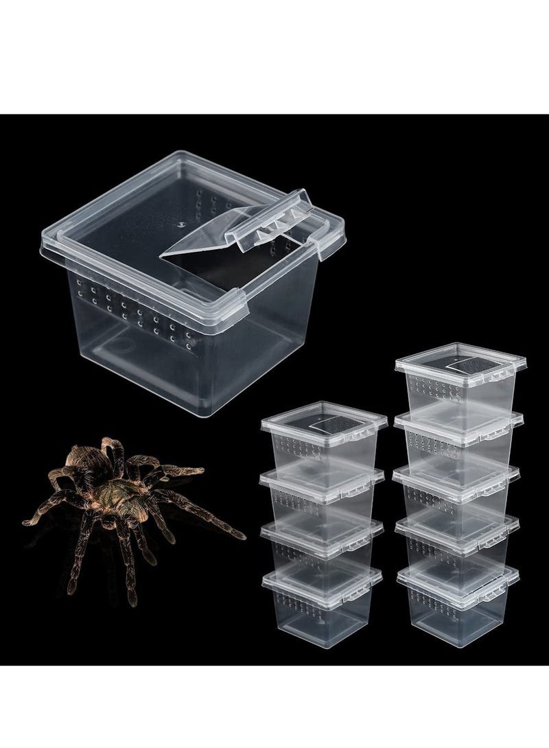 KASTWAVE 10 قطع صندوق تربية الزواحف علبة شفافة للتغذية - حاوية تفقيس صغيرة بغطاء لتفقيس الزواحف الصغيرة العنكبوت الشجري المانتس العقرب الدود الأسطواني صندوق تربية أكريليك - Image 1