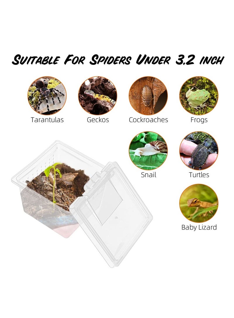 KASTWAVE 10 قطع صندوق تربية الزواحف علبة شفافة للتغذية - حاوية تفقيس صغيرة بغطاء لتفقيس الزواحف الصغيرة العنكبوت الشجري المانتس العقرب الدود الأسطواني صندوق تربية أكريليك - Image 5