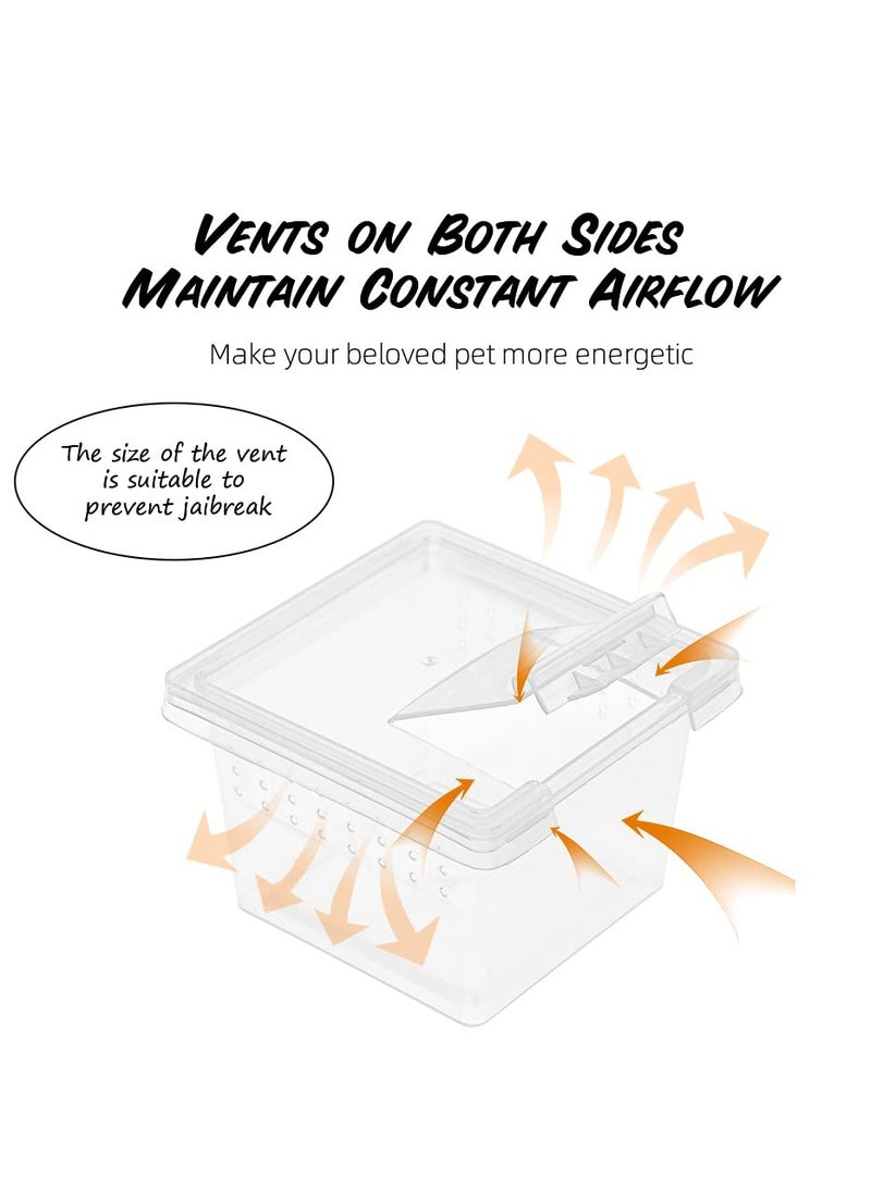 KASTWAVE 10 قطع صندوق تربية الزواحف علبة شفافة للتغذية - حاوية تفقيس صغيرة بغطاء لتفقيس الزواحف الصغيرة العنكبوت الشجري المانتس العقرب الدود الأسطواني صندوق تربية أكريليك - Image 3