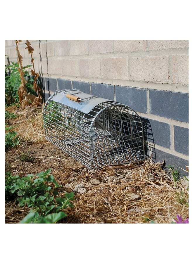 STV  Live Multi-Catch Rat Trap - Image 2
