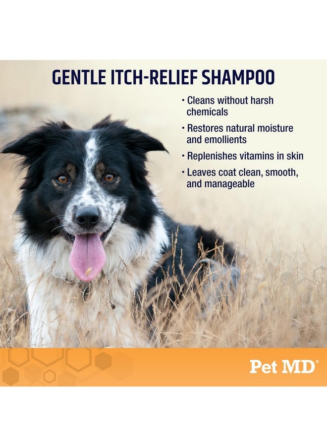 بيت إم دي شامبو الشوفان للكلاب والقطط من Pet MD لتخفيف الحكة وترطيب البشرة والفراء الجاف - 16 أونصة - Image 2