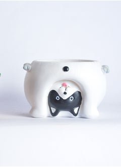 Point white bot cat  - Image 1