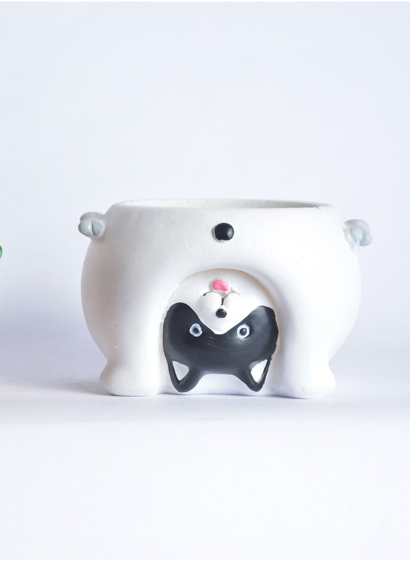 Point - white bot cat - Image 1