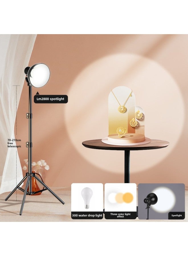 Special Hair Lamp In The Live Broadcast Room Live Overhead Atmosphere Spotlight Gods Girl Hair Lamp Contour Fill Light-Specifications:Preferential Spotlight LM2800 (three-color Dimming) 2m Floor Lamp Rack  - Image 1