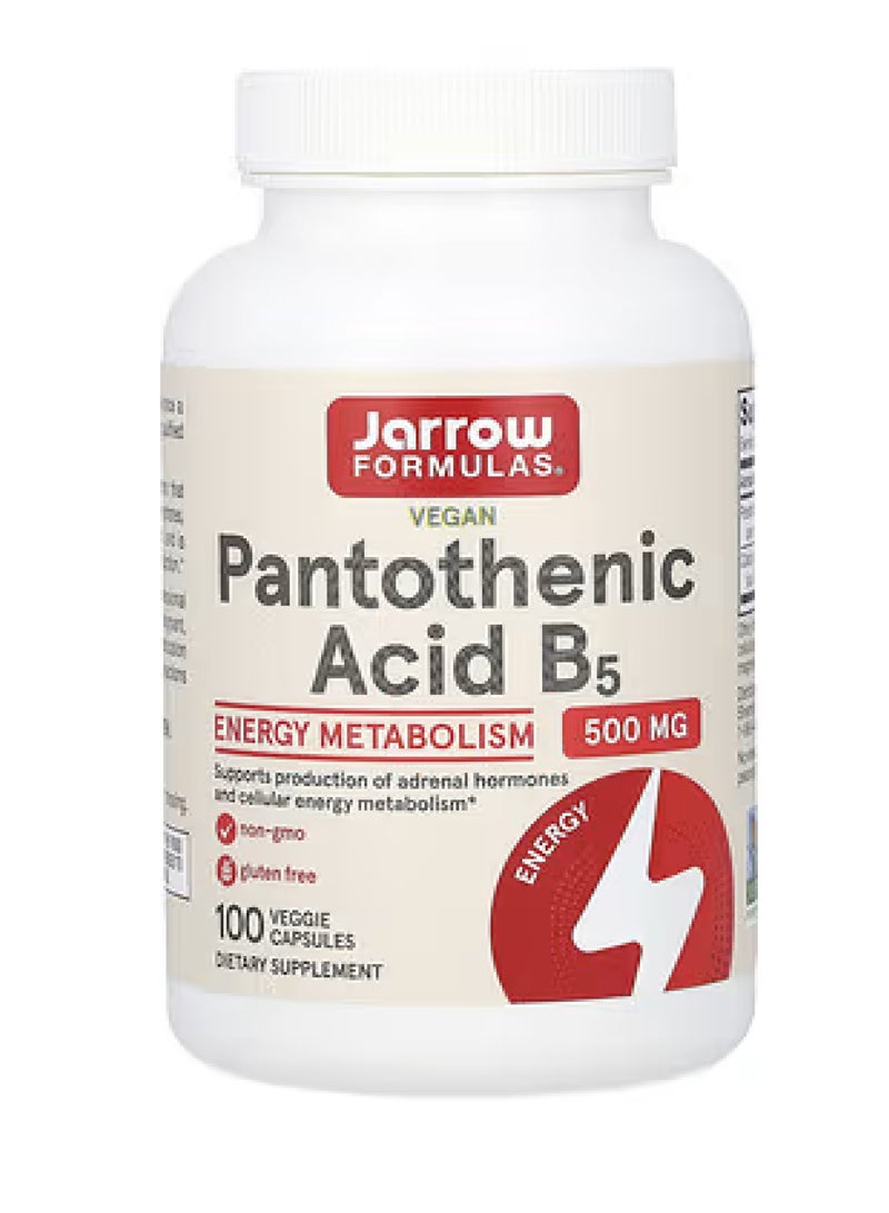 jarrow formulas Pantothenic Acid B5 500 mg 100 Veggie Caps