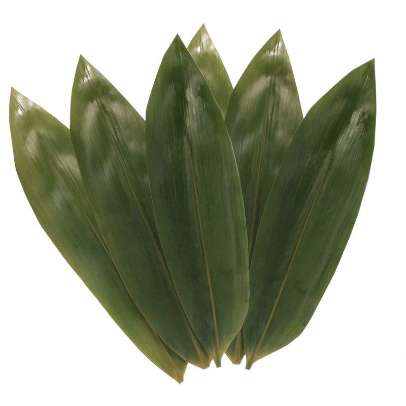 BambooMN Bamboo Leaves for Cooking Zongzi Banana Leaf Alternative GrillingBarbeque Natural Boiling Bags  1225 x 35 Inches  100 pack