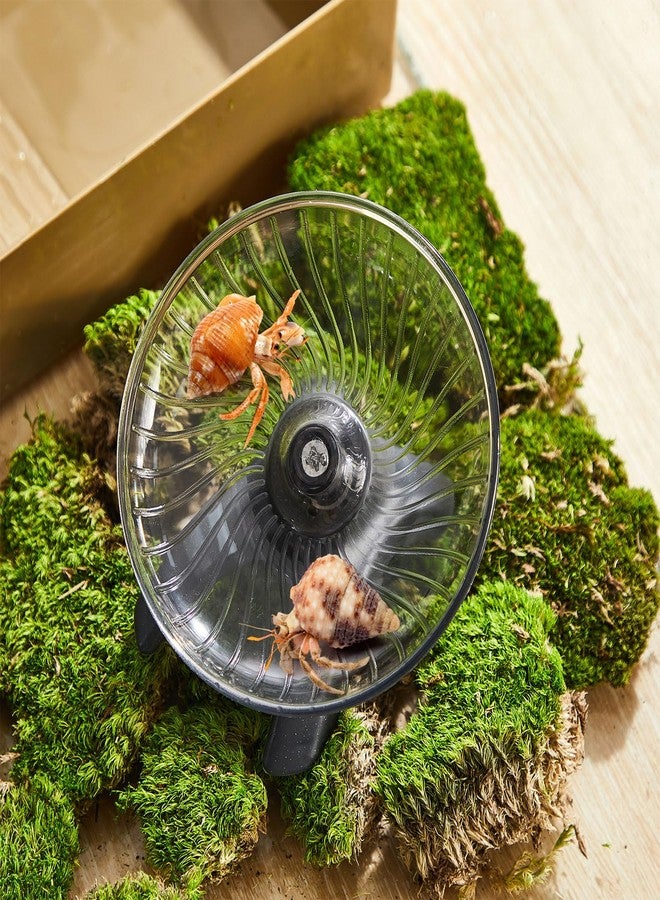 Poen لعبة عجلة سرطان البحر الناسك من بوين، ألعاب عجلة الجري الصامتة للهامستر، ملحقات الحوض، ملحق قفص الحيوانات الصغيرة لسرطان البحر الناسك والهامستر والفأر القزم (4.13 × 2.95 × 3.34 بوصة) - Image 5