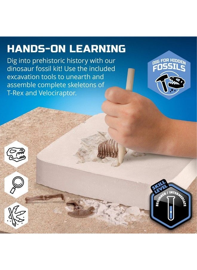 Discovery Kids - Discovery #Mindblown Dinosaur Fossil Dig Excavation Kit, 15Piece Trex & 10Piece Velociraptor, 3D Skeleton Puzzle Display Models, Includes Tools & Safety Glasses, Jurassic Dino Toy For Kids - Image 1