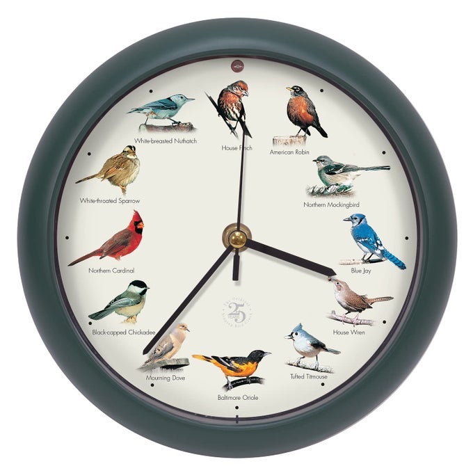MARK FELDSTEIN THE ORIGINAL SINGING BIRD CLOCK 25TH ANNIVERSARY EDITION 8 INCH GREEN