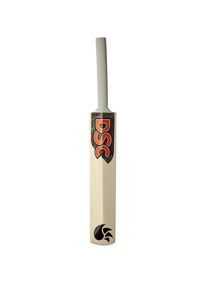 DSC - 1500353 Mini Bat Cricket - Image 1