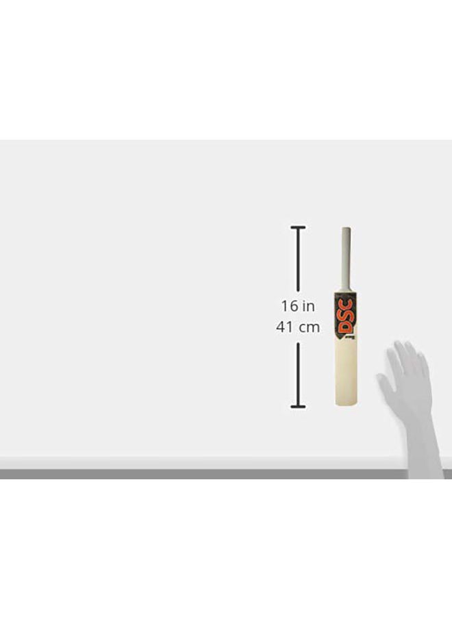 DSC - 1500353 Mini Bat Cricket - Image 1