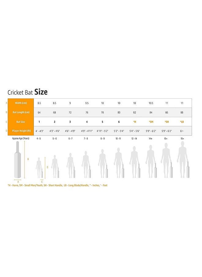 DSC - 1500353 Mini Bat Cricket - Image 1