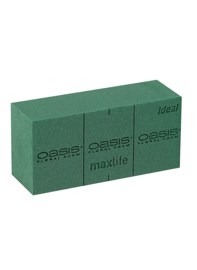 Oasis Flower Foam Ideal Maxlife  20pcs - pzsku/Z4721A80D88AD14CF05EFZ/45/_/1728627360/8253bb3a-31b7-4afd-932b-fbd34bc5061c