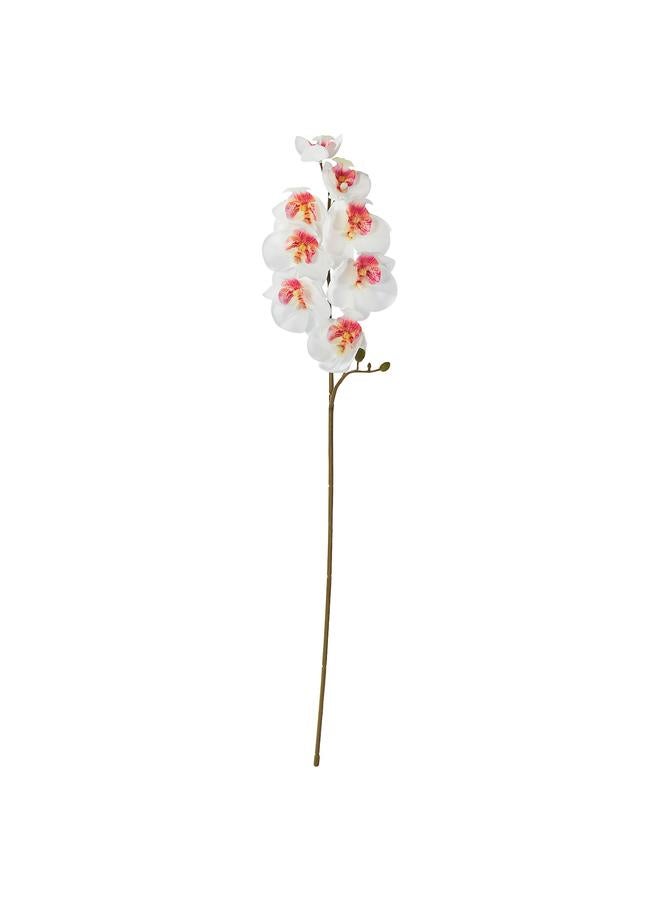 Zaboon Artificial Flower, In/Outdoor/Orchid White, 60 Cm - Image 1