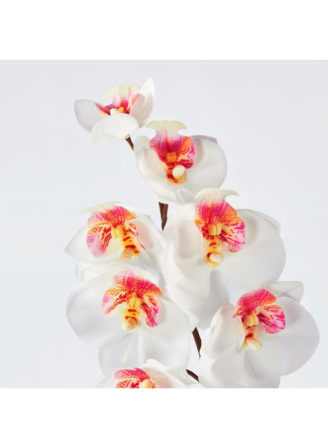 Zaboon Artificial Flower, In/Outdoor/Orchid White, 60 Cm - Image 3