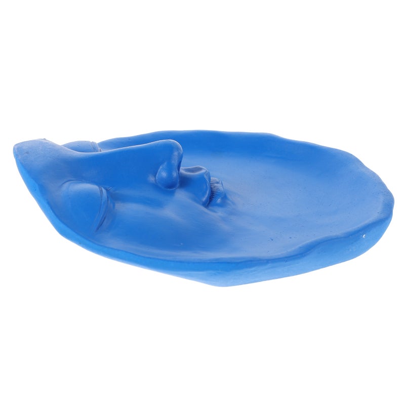 Face Tray Aesthetic Storage Dish Dishes Organizer For Vanity Decor Home Decor Tray - Image 4