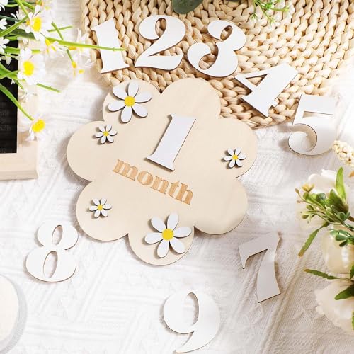 Haoser Wooden Baby Milestone|Boho Baby Milestone|Milestone Props For Babies Photo|Monthly Baby Milestone Marker|Baby Growth |Baby Milestone Marker,1 Count - Image 2