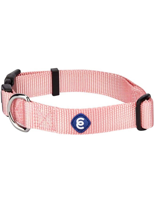 Blueberry Pet Essentials Small Dog Collar | Girl Dog Collars Fall | Female Dog Collar Small | Baby Pink Dog Collars for Small Dogs | Quick Release Dog Collar | Baby Pink Nylon Dog Collar