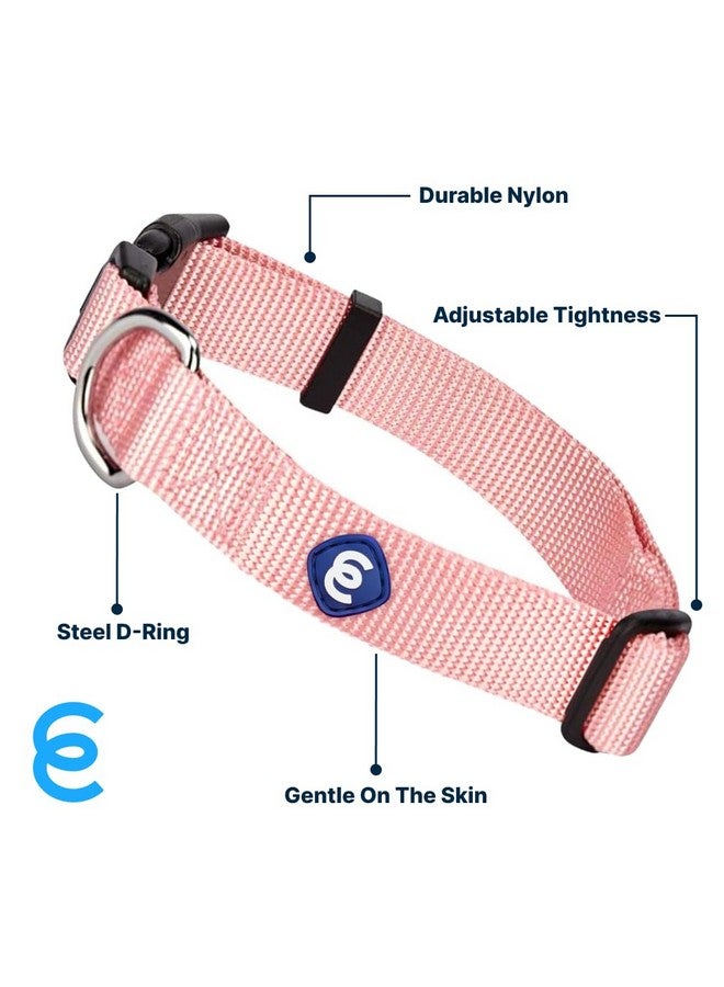 Blueberry Pet Essentials Small Dog Collar | Girl Dog Collars Fall | Female Dog Collar Small | Baby Pink Dog Collars for Small Dogs | Quick Release Dog Collar | Baby Pink Nylon Dog Collar