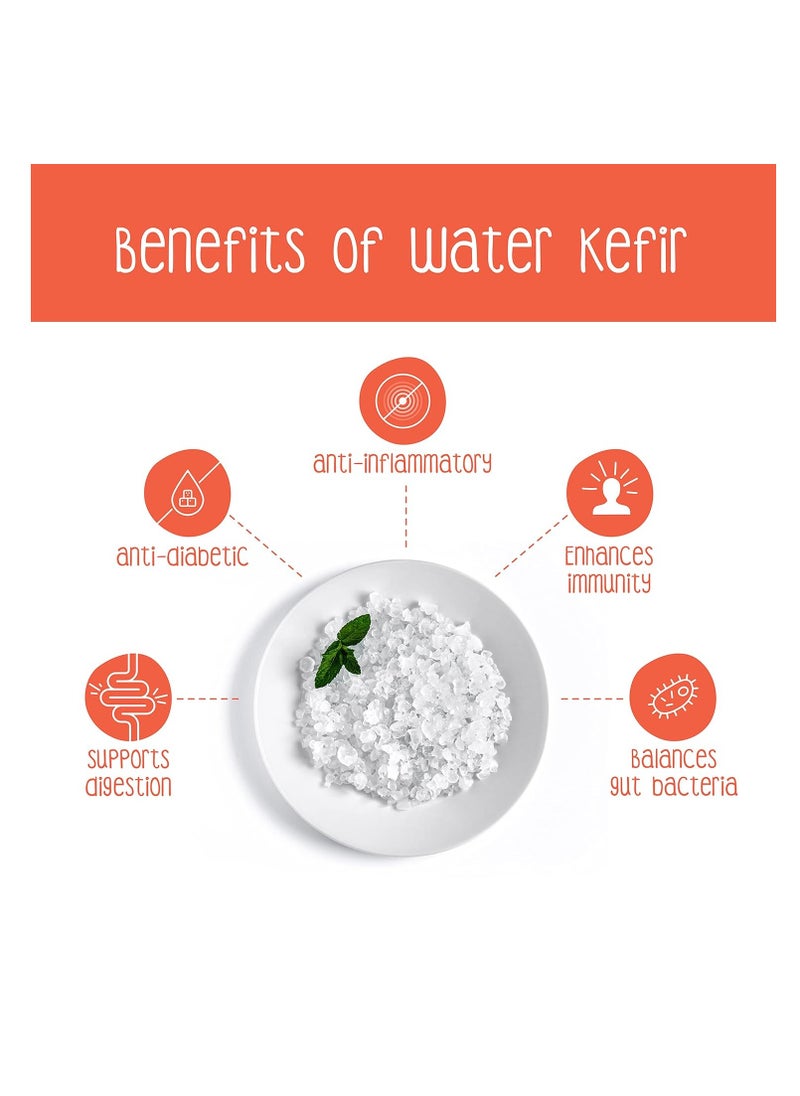 cultures to love Live Water Kefir Grains 25 G Of Heirloom Culture Make Batch After Batch Make Delicious Vegan Fizzy And Probiotic Rich Beverages Live Grains  - Image 5