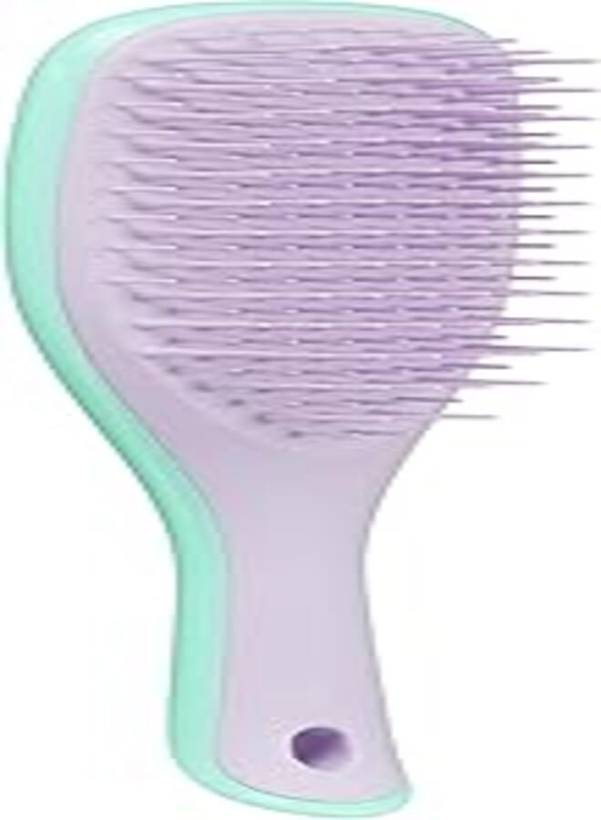 Mini Wet detangler mint-lilac