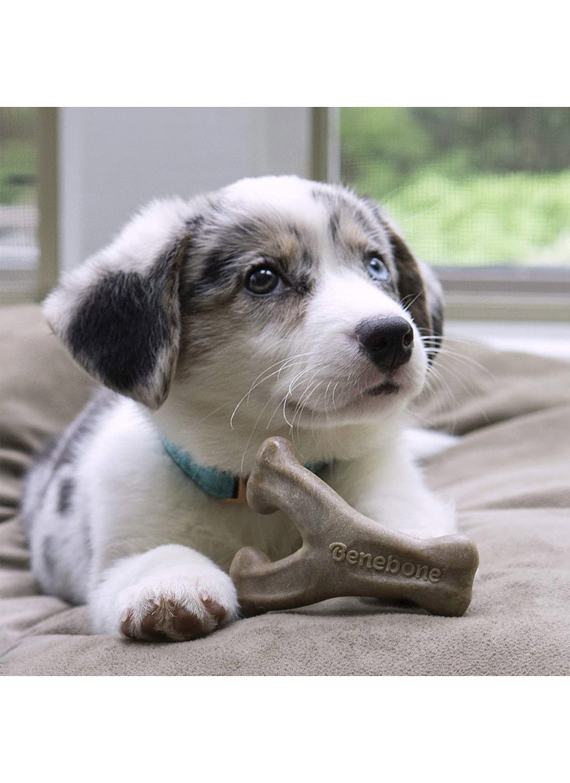 Benebone Puppy Wishbone Dog Chew Toy Bacon - Image 4
