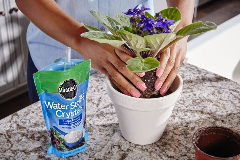 Miracle-Gro بلورات تخزين الماء من ميراكل-غرو، تساعد في منع الإفراط ونقص الري في النباتات الداخلية والخارجية، 12 أونصة. - Image 4