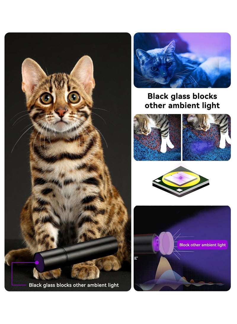 مصباح يدوي بالأشعة فوق البنفسجية ضوء أسود قابل لإعادة الشحن 365 نانومتر فوق بنفسجي مصباح يدوي أزرق فاتح للكشف عن البول للحيوانات الأليفة، بق الفراش، السعفة - Image 4