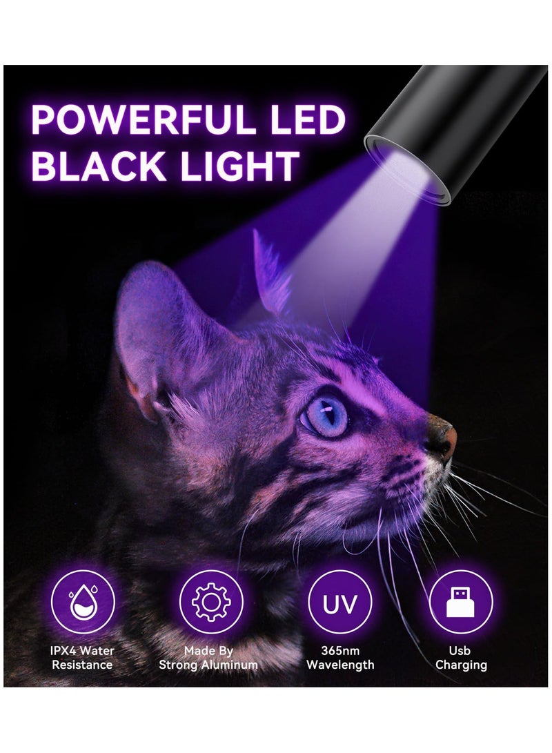 مصباح يدوي بالأشعة فوق البنفسجية ضوء أسود قابل لإعادة الشحن 365 نانومتر فوق بنفسجي مصباح يدوي أزرق فاتح للكشف عن البول للحيوانات الأليفة، بق الفراش، السعفة - Image 3