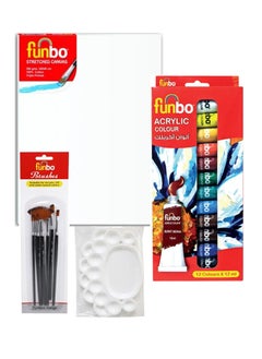 Acrylic Paint Kit With A3 Canvas