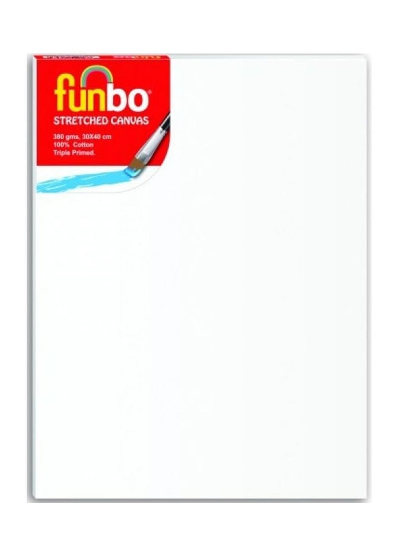 Funbo - Acrylic Paint Kit With A3 Canvas - Image 1