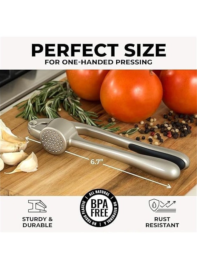 MIXDE Premium Garlic Press Set - Rustproof and Dishwasher Safe - Professional Garlic Mincer Tool - Easy to Squeeze, Easy to Clean - Soft, Ergonomic Handle - Includes Silicone Garlic Peeler and Brush - Silv  - Image 2