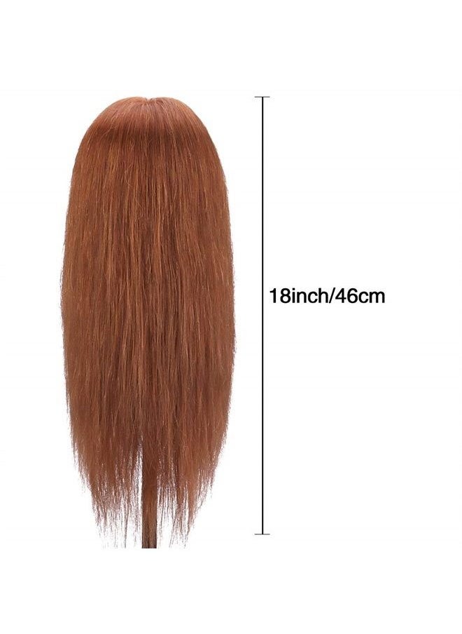 TopDirect - Mannequin Head with 100% Human Hair, TopDirect 18" Dark Brown Real Hair Cosmetology Mannequin Head Hair Styling Hairdressing Practice Training Doll Heads with Clamp Holder and Tools - Image 1