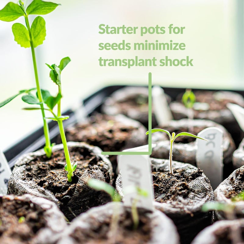 Jiffy Plant Starter Pellets - Compact Organic Seedling Peat Pellets Refill - 42mm, 5 Pack, Peat Soil - Image 4