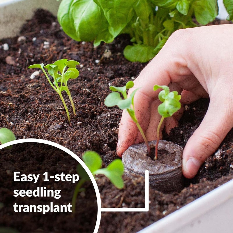 Jiffy Plant Starter Pellets - Compact Organic Seedling Peat Pellets Refill - 42mm, 5 Pack, Peat Soil - Image 5