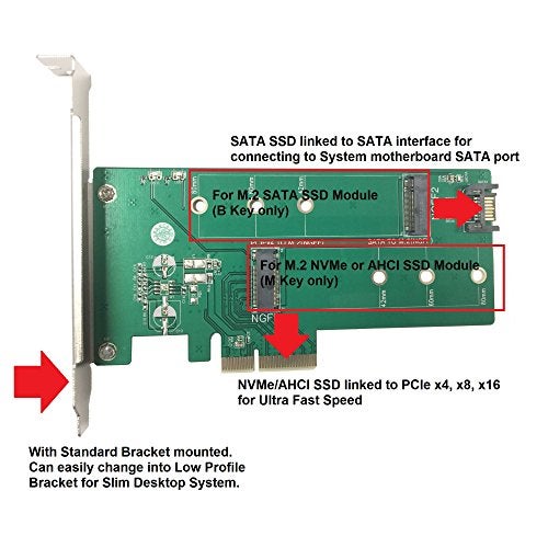 Vantec M.2 NVMe + M.2 SATA SSD PCIe x4 Adapter (UGT-M2PC200), Green - Image 3