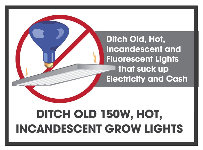 Miracle LED Commercial Hydroponic Ultra Grow Lite - Replaces up to 150W - Daylight White Full Spectrum LED Indoor Plant Growing Light Bulb For DIY Horticulture & Indoor Gardening (605188) - Image 2