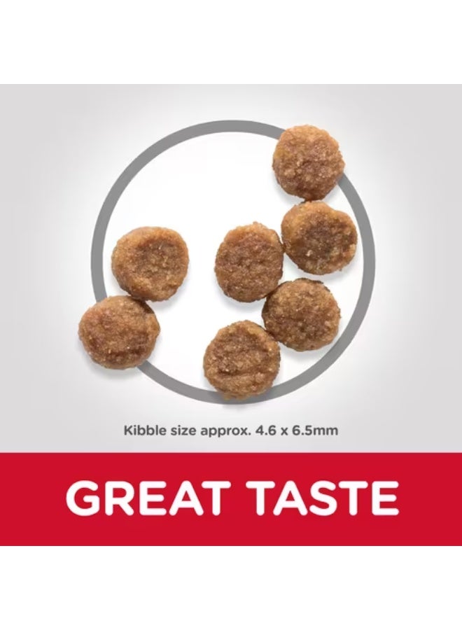 هيلز ساينس بلان غذاء بطعم الدجاج لجراء الكلاب صغيرة الحجم - Image 4