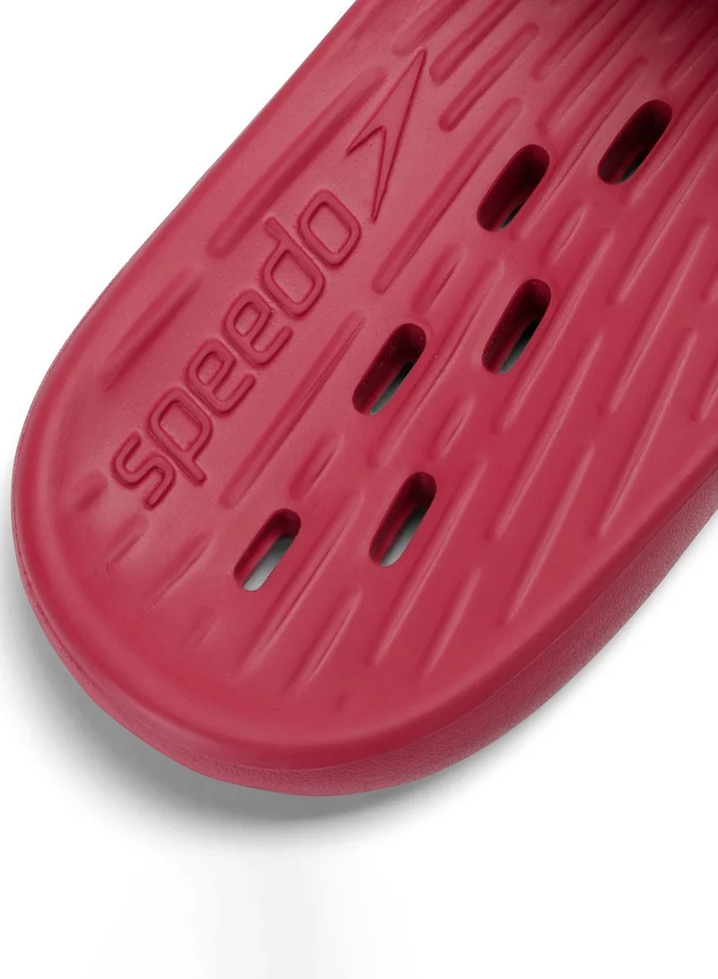 speedo Casual Slides