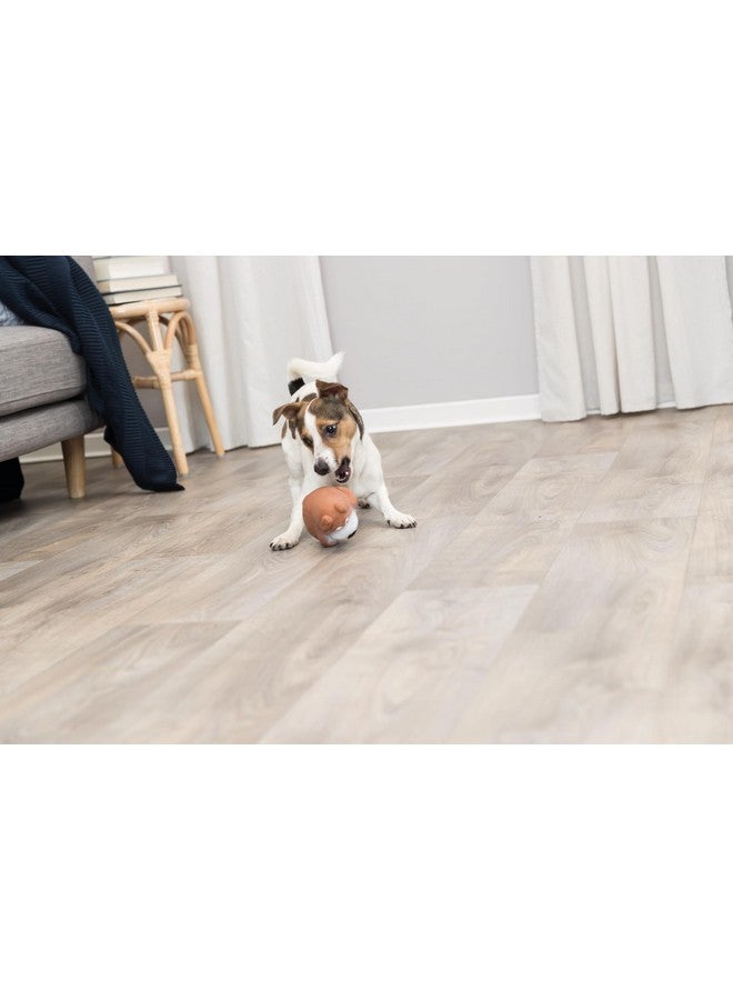 تريكسي لعبة لاتكس للكلاب لتدريب الكلاب واللعب بها وجعلها نشطة وصحية - Image 3