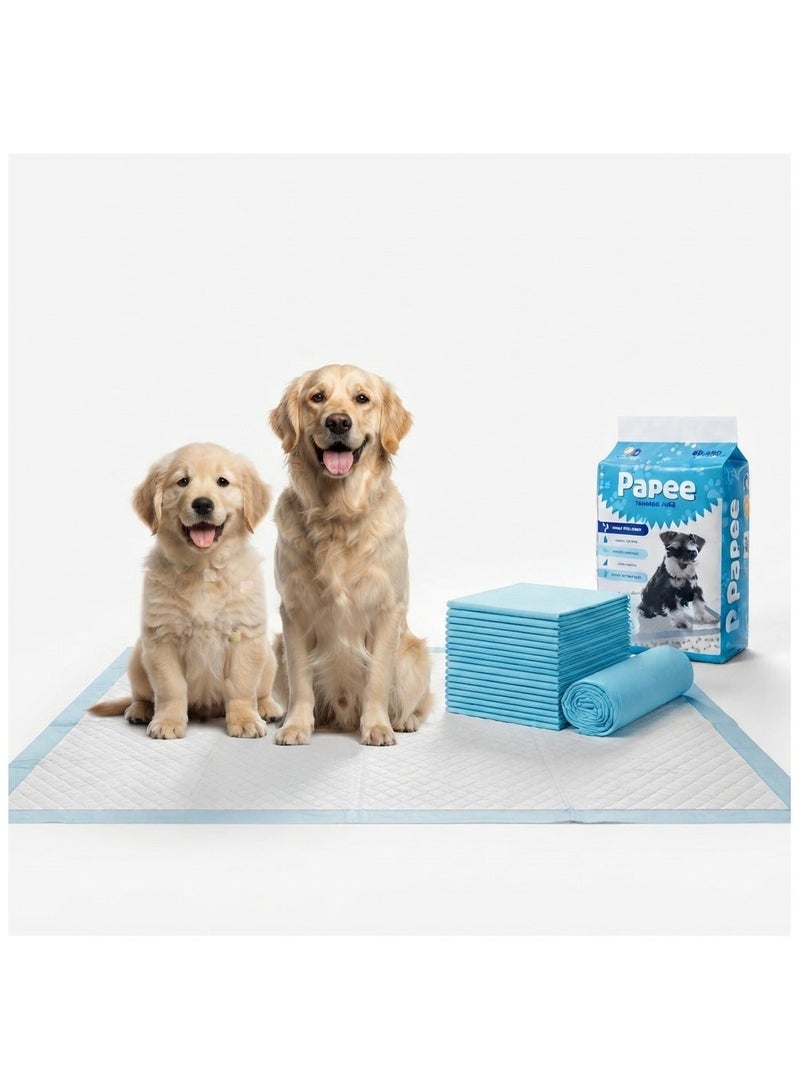 Papee Disposable Puppy Pet Training Pads | Eco-Friendly & Super Absorbent (60x90cm) - Image 1