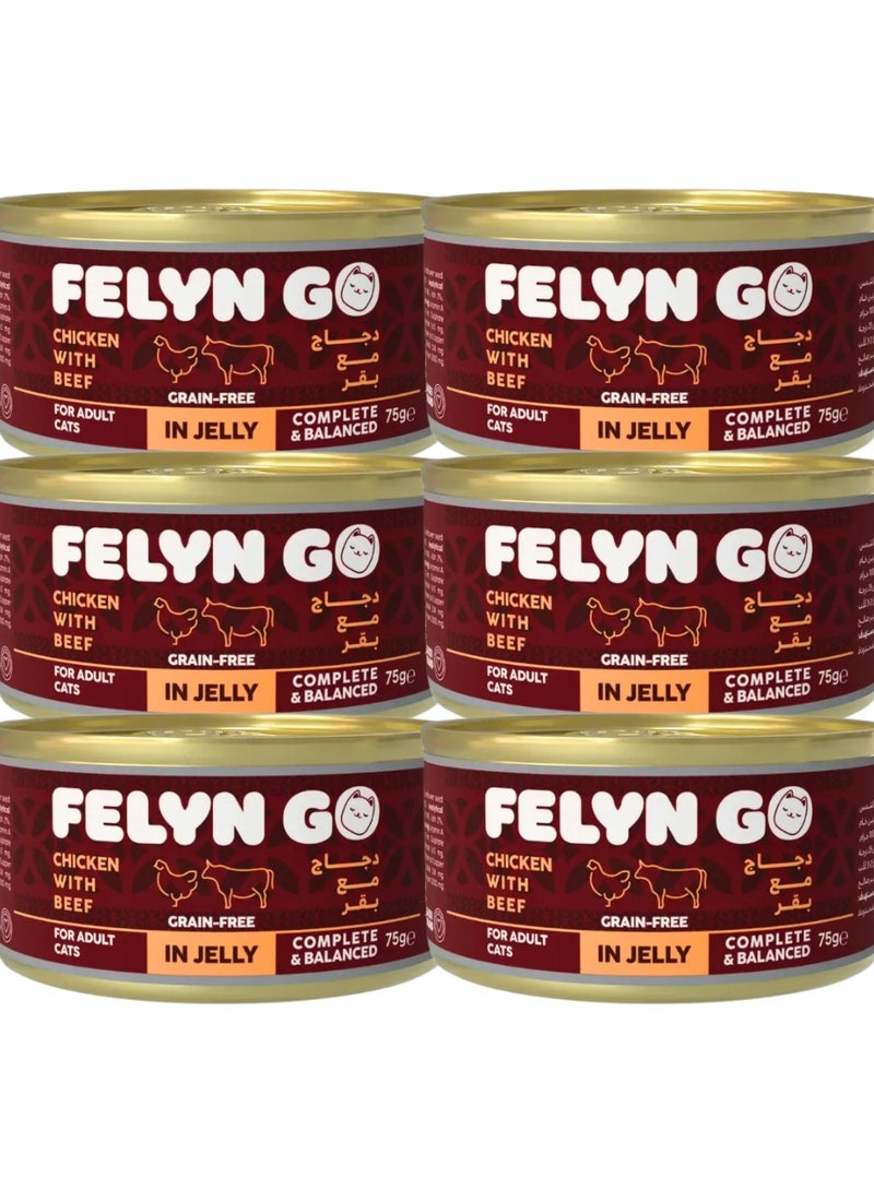 Felyn GO Cat Wet Food Chicken With Beef In Jelly For Adult Cats- 6x75g - Grain-Free Cat Food - Image 1