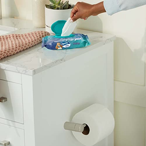 Charmin Flushable Wipes, 2 packs, 40 Wipes Per Pack, 80 Total Wipes - Image 4