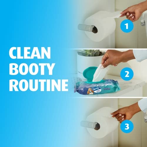 Charmin Flushable Wipes, 2 packs, 40 Wipes Per Pack, 80 Total Wipes - Image 3