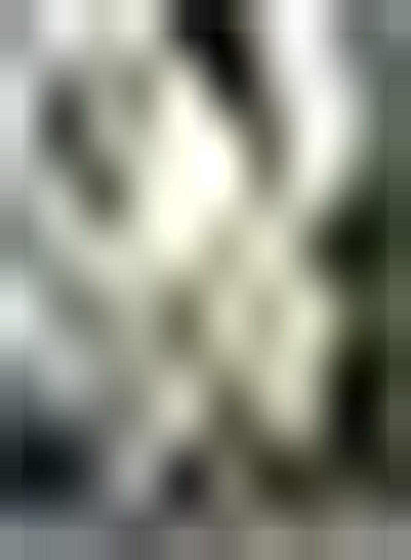 GGOOT 10 weiße Freesien Zwiebeln Einfach zu pflegen im Freien natürliches Wachstum mehrjährig Einfach zu bedienen ohne viel Pflege einzigartige Blütenform - Image 1