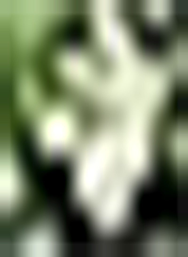 GGOOT 10 weiße Freesien Zwiebeln Einfach zu pflegen im Freien natürliches Wachstum mehrjährig Einfach zu bedienen ohne viel Pflege einzigartige Blütenform - Image 2