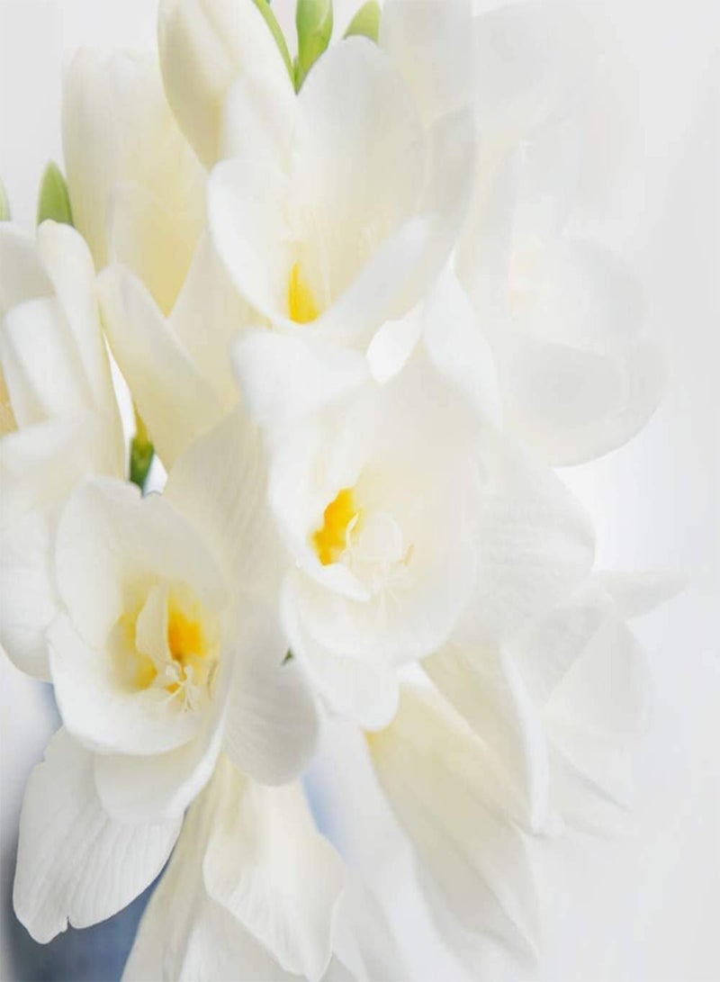 GGOOT 10 weiße Freesien Zwiebeln Einfach zu pflegen im Freien natürliches Wachstum mehrjährig Einfach zu bedienen ohne viel Pflege einzigartige Blütenform - Image 3