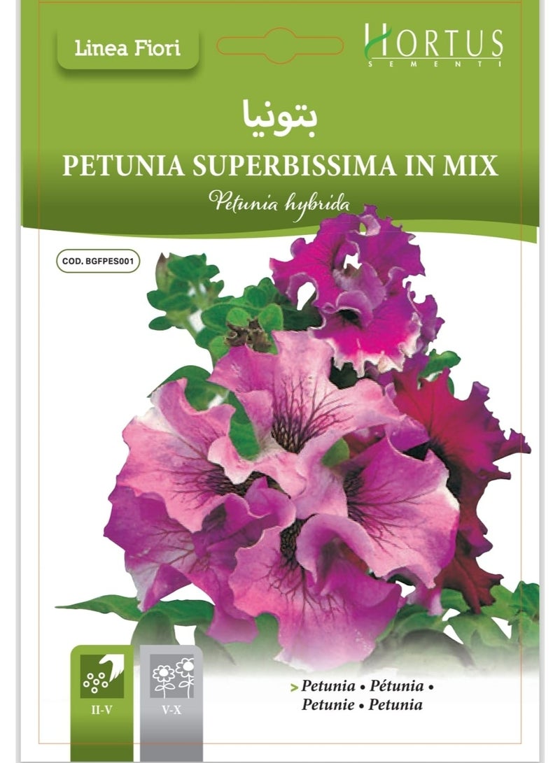 Petunia Seeds
